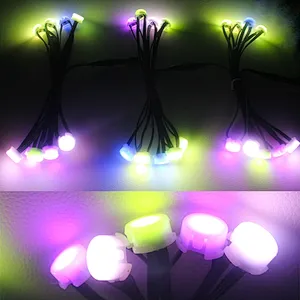 Outdoor IP68 Waterproof Holiday Lighting RGBW LED holiday string lights